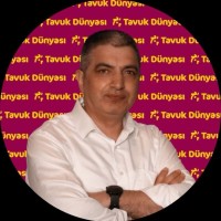 Kayhan Pınarbaşı