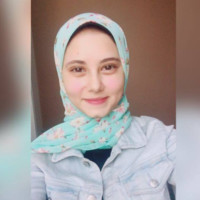 Nourhan Shahin