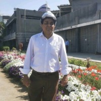 Muhammad Safdar