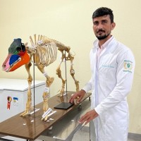 Vacivaldo Dutra