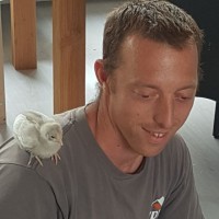 Bart De Mik