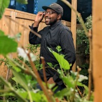 David Akinnuoye