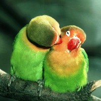 Piard Cinthia