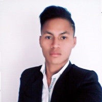 Cesar Gualinga Coquinche