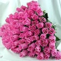 محمد المصرى
