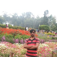Kumar M