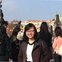 Hong Diem Duong