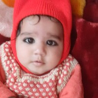 Amit Toor