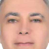 Bedrettin The Author