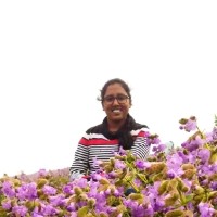 Jahnavi Ajeta