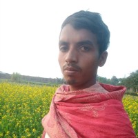 Md Amir Alam