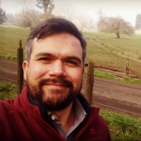 David Miranda Fernández