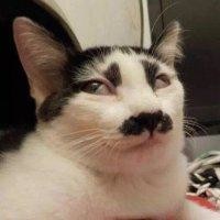 莫秀琴