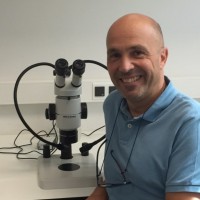 Jordi Riudavets