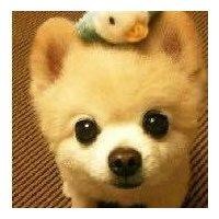 陈胥宇