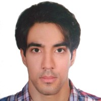 Hamid Safari