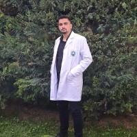 Talha Ayan