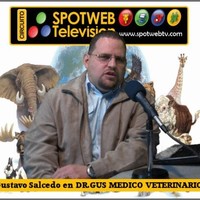 DrGus Medico Veterinario