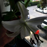 郑永存
