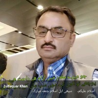 Zulfequar Khan Khan