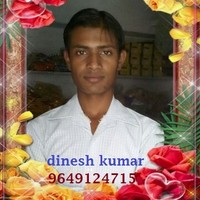 Dinesh Kumar Meena