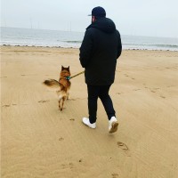 Ryan Horkan