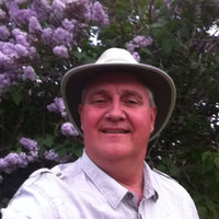 Gino Berube