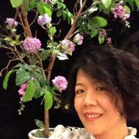 張安妮