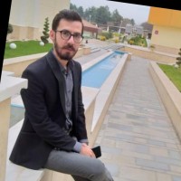 Reza H Haidari