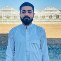 Sardar Usman