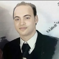 Mr Ehab Elgendy
