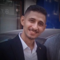 Ramy Shoukry