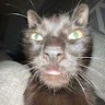 Z undefined