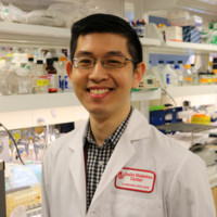 Marc Gregory Yu, Md, Fpcp, Fpcedm