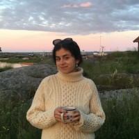 Tara Rezai Lindorm