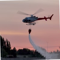 Felipe Henriquez meza