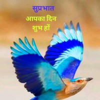 Jpsharma Sharma