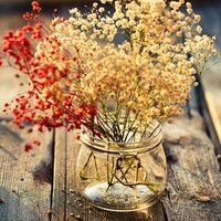 global franchise asia