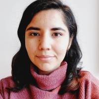 Ana Luisa Tapia Mujica