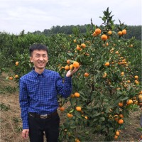Morgan Zhang