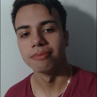 André De Lima Miranda Borges