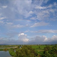 郑塱钒
