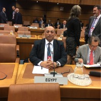 Alaa Elmasry