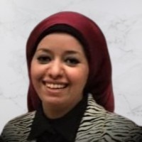 Yassmin Seid Ahmed, Phd, Pmp