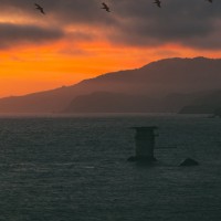 AbdAllah Abd El-fattah