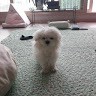 최강산