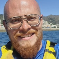 David Falcon