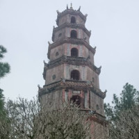 Maithao Nguyen