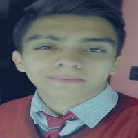 Lautaro Lobos