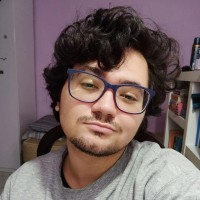 Luis Guilherme C.